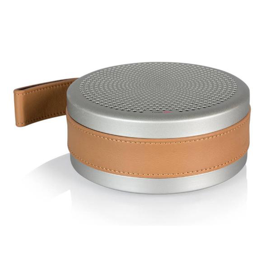 Tivoli Audio Andiamo, hopea