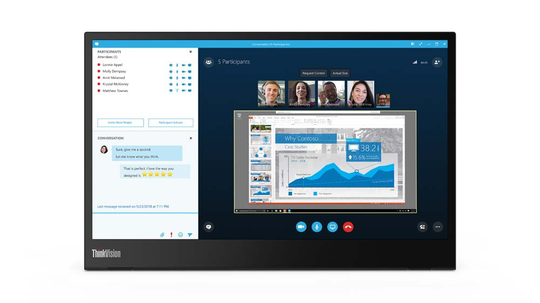 LENOVO ThinkVision M14 14inch TS