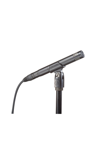 Audio-Technica AT2031 - Audio Technica