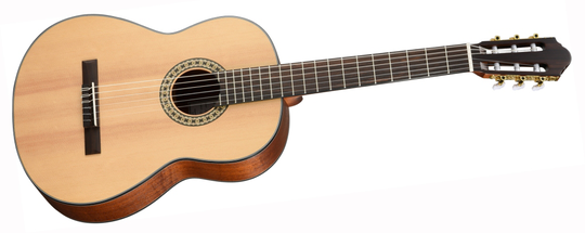 Walden N550EW Guitar (Luonnollinen) - Walden Guitars