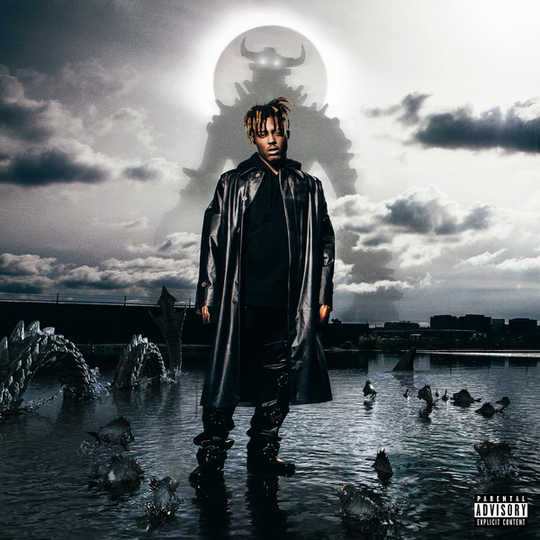 Juice Wrld - Fighting Demons (2xVinyl) - Universal Music