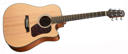 Walden D550CEW Western-kitara (Luonnollinen) - Walden Guitars